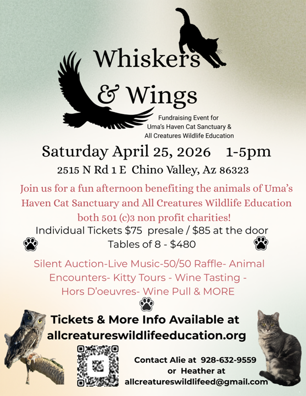 event images2fapril2fwhiskers20and20wings qolpfq